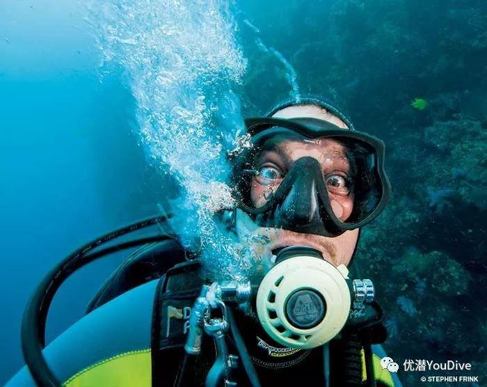拯救蝙蝠家族