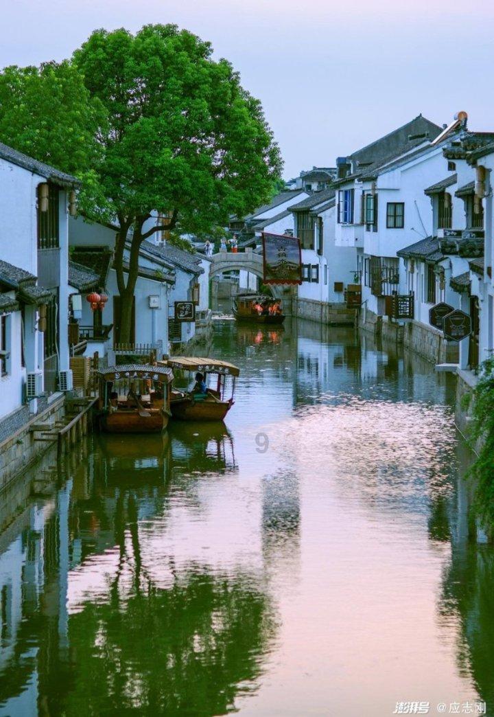 拯救蝙蝠家族